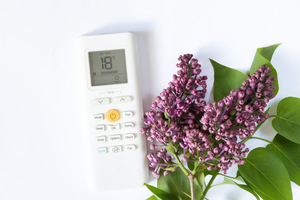 从白色遥控器上的空调和一枝盛开的警笛在一个孤立的背景上拉近距离图片下载