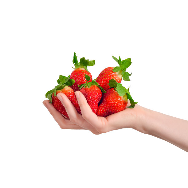 手里拿着一大堆草莓，孤零零地堆在白色背景上。一只手满是草莓。夏天的浆果旗。图片下载