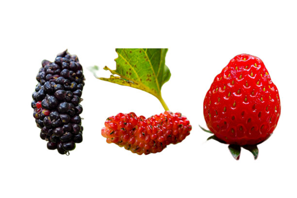 由水果制成的创意布局。平的。草莓，桑葚，橙子，火龙果，白色背景图片下载