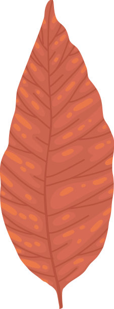 橡树白蜡树和白桦树的干燥秋叶图片下载