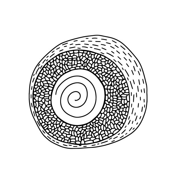 真寿司卷手绘草图图片下载