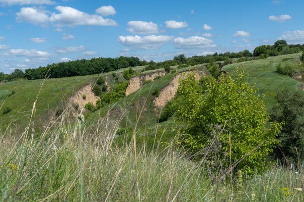 观赏被绿色植物覆盖的峡谷。带地质断层的景观山谷。图片下载