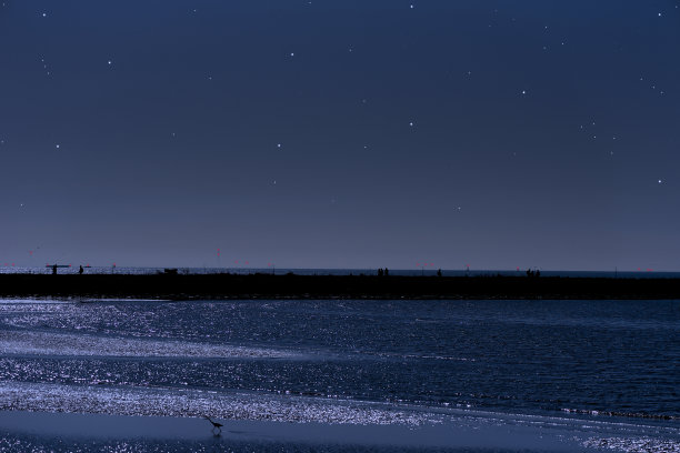 东京湾上空有许多闪亮的星星图片下载
