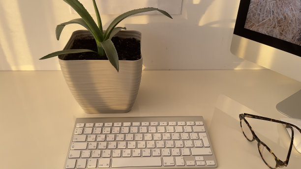 电脑桌面，芦荟花花盆，电脑键盘，眼镜图片下载