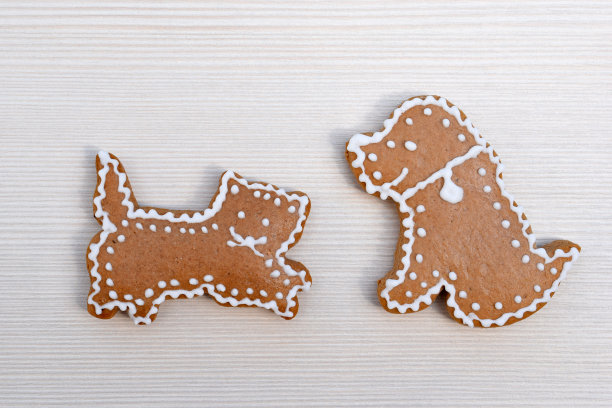 可爱的姜饼猫和狗图片下载