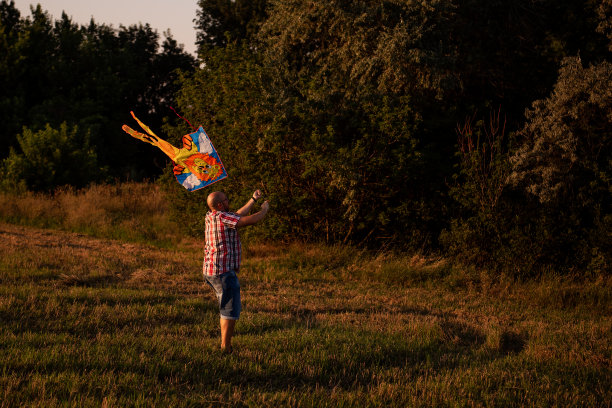 在落日的余晖中，秃头戴眼镜的男子拿着风筝在绿林附近的田野里。图片下载