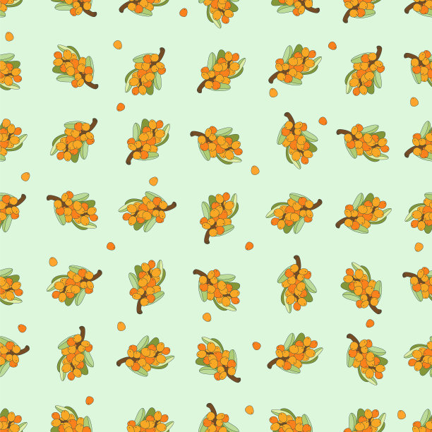 简单的沙棘无缝图案。矢量轮廓图图片下载