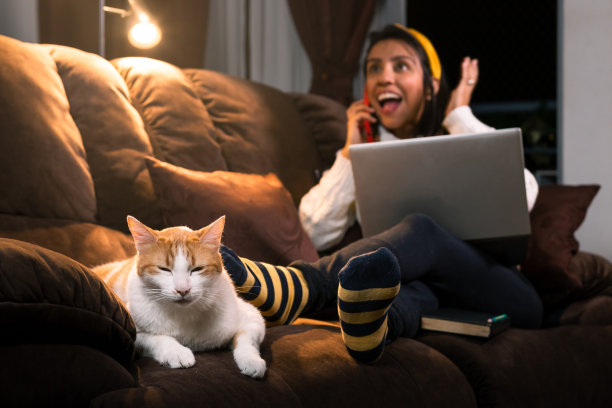 在家里一心多用:受惊的女人在电话、笔记本电脑和猫之间摇摆不定图片下载