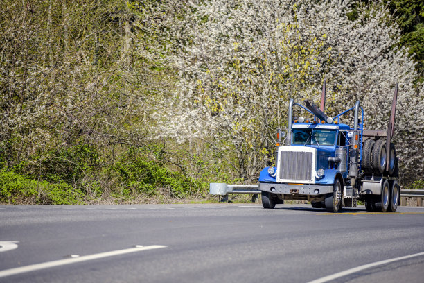 经典的蓝色大钻机半卡车运输空半挂车携带原木在道路上行驶，路边有开花的树木图片下载