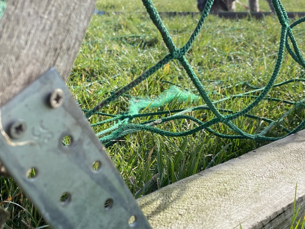 旧的木制足球球门躺在草地上图片下载