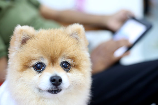 科技与生活方式图片下载