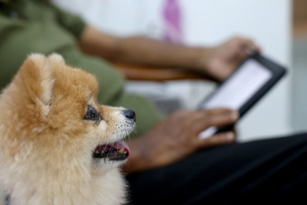 科技与生活方式图片下载