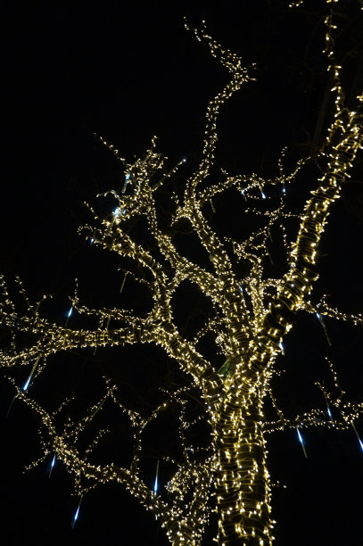 圣诞灯饰图片下载