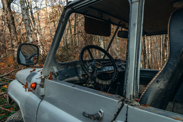 森林之旅。图片下载