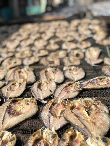 鱼在阳光下晒干，图片下载