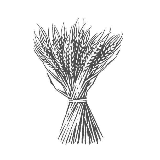 草地上的一捆干小麦。图片下载