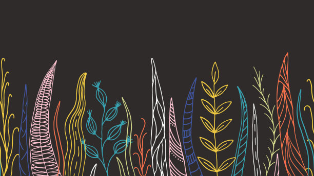 草本植物。贺卡。无缝的边界。路边,带图片下载