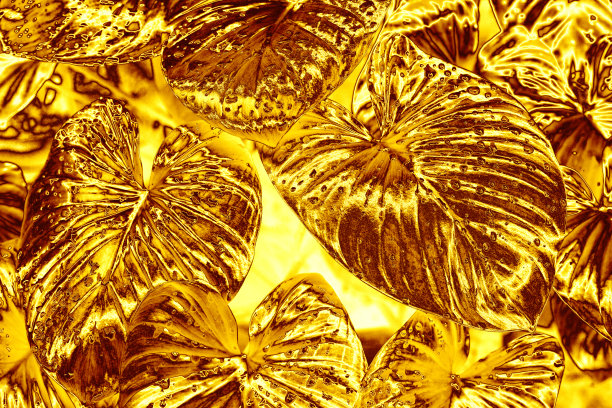 金色树叶水滴背景，金色花叶纹理，黄色金属热带树叶背景，金属花枝图案，抽象植物装饰艺术壁纸设计，复古装饰图片下载