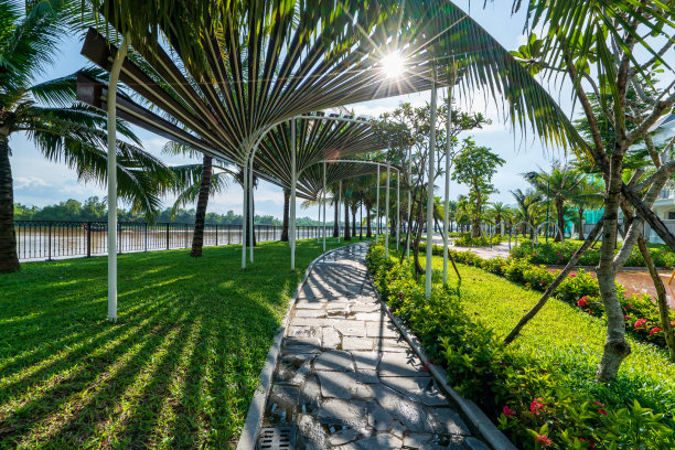 五彩缤纷的操场在公园的院子里。库存图片图片下载