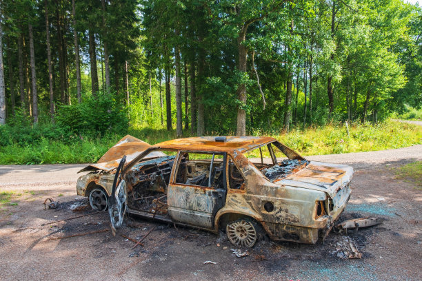 森林里的路边有一辆被遗弃的烧毁的汽车图片下载