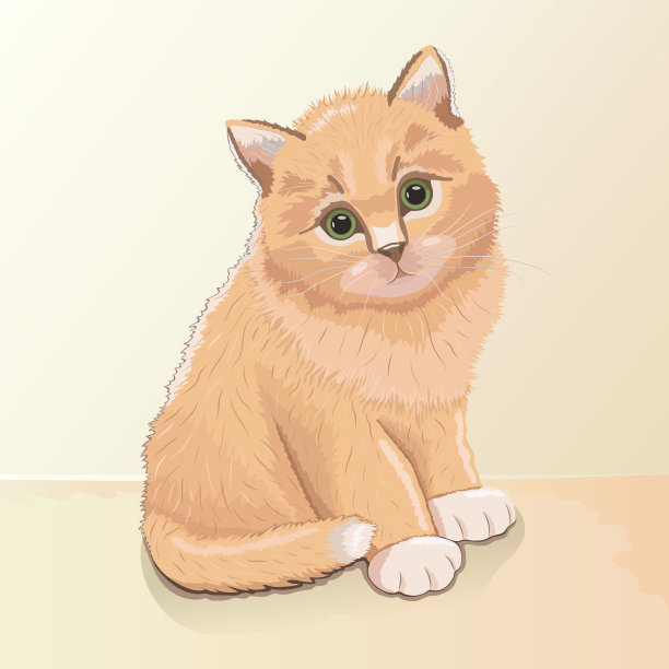 一只可爱有趣的小猫，颜色为浅棕色或红色，白色的爪子和白色的尾巴尖，绿色的眼睛坐在米黄色的方形背景上。宠物。孩子们的照片。矢量插图。图片下载