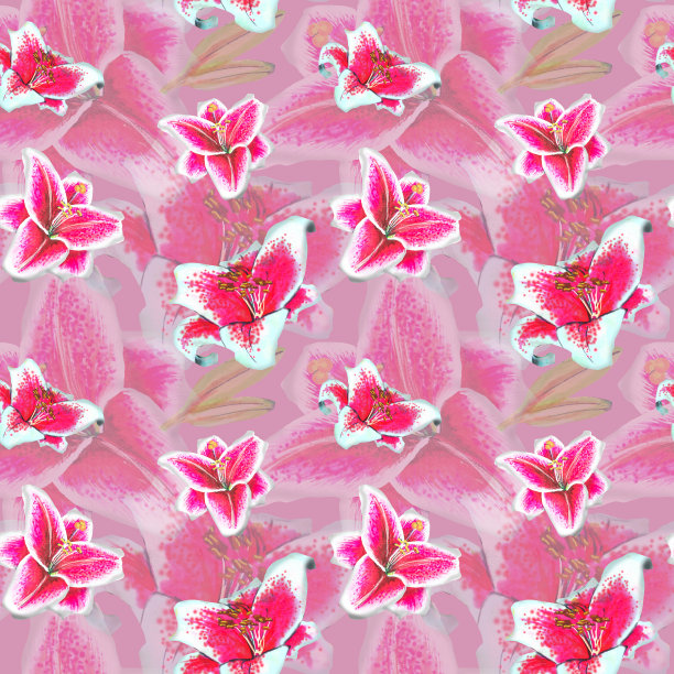 粉百合图案插图，手绘。这幅画是用酒精记号笔画的图片下载