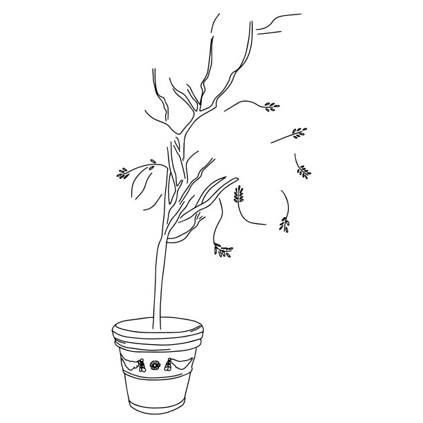 在一个大罐子里的树与破碎的叶子素描图片下载