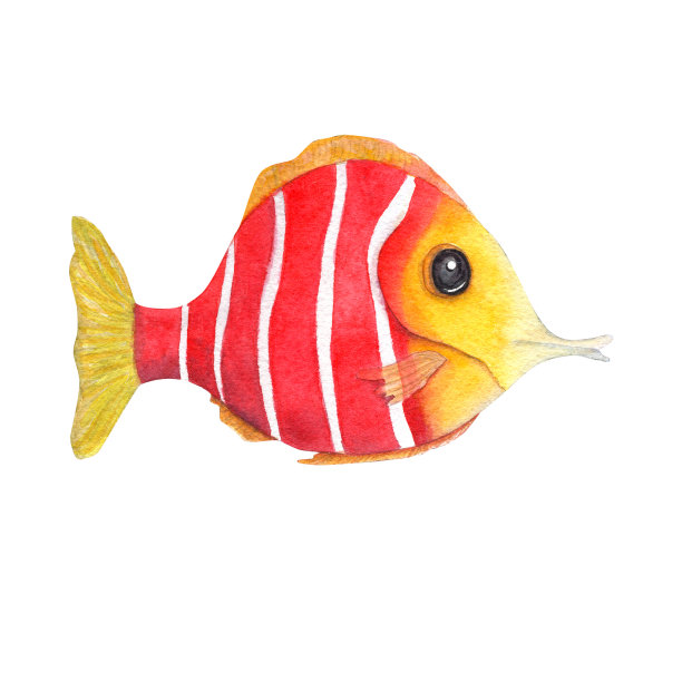 手绘水彩插图彩色鱼孤立在白色背景。完美的壁纸，印刷，婴儿纺织品，托儿所，剪贴簿，明信片，服装。卡通风格。图片下载