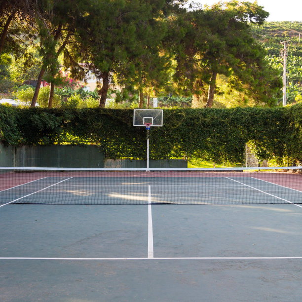 户外打网球、篮球的运动场图片下载