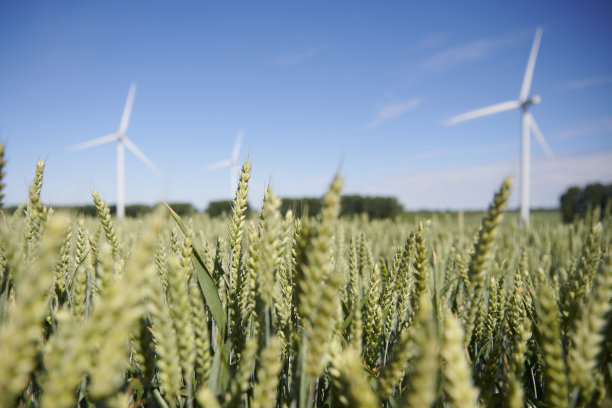 风力涡轮机图片下载