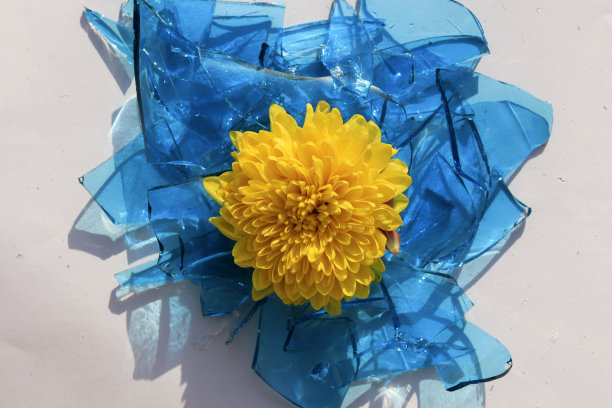 黄色的花与破碎的玻璃隔离在白色的背景上。图片下载