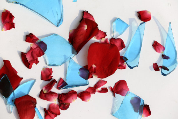 破碎的蓝色玻璃与红色玫瑰花瓣孤立在白色背景图片下载