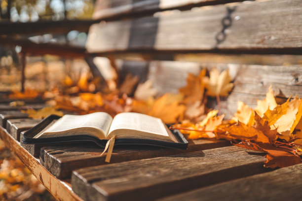 在户外自然背景的木板上打开书图片下载