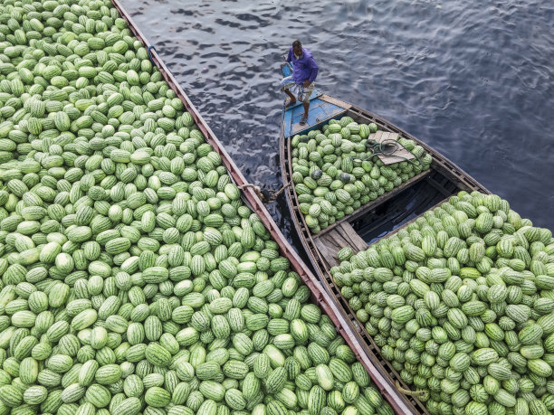 工人们用大篮子从船上卸下西瓜图片下载