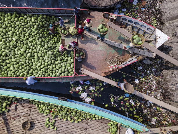 工人们用大篮子从船上卸下西瓜图片下载