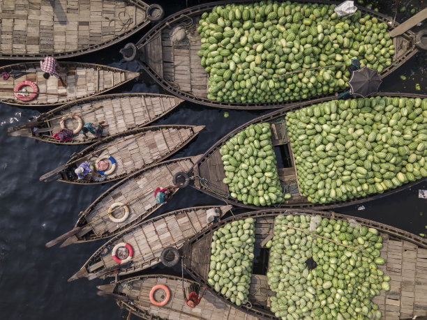 工人们用大篮子从船上卸下西瓜图片下载