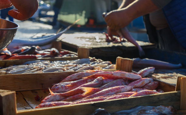 街市鱼市。图片下载