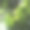 植物园温室里的绿色外来植物和树木。图片下载