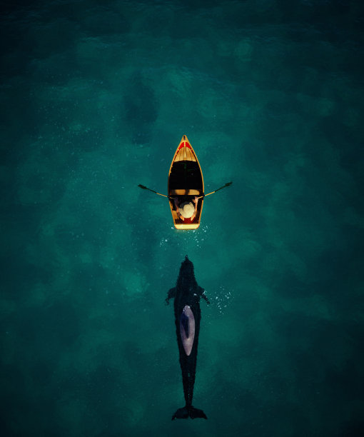 渔夫在船上，鲨鱼在他身后。大意和放松的概念。图片下载