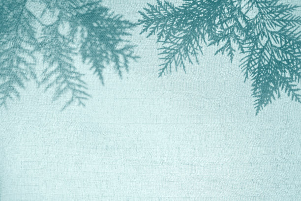 抽象的背景。绿色棉织物后面的侧影枝叶。图片下载