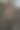根:岩石上的树枝根图片下载