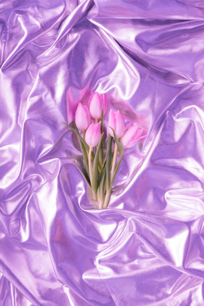 紫色纹理背景上的郁金香花。图片下载