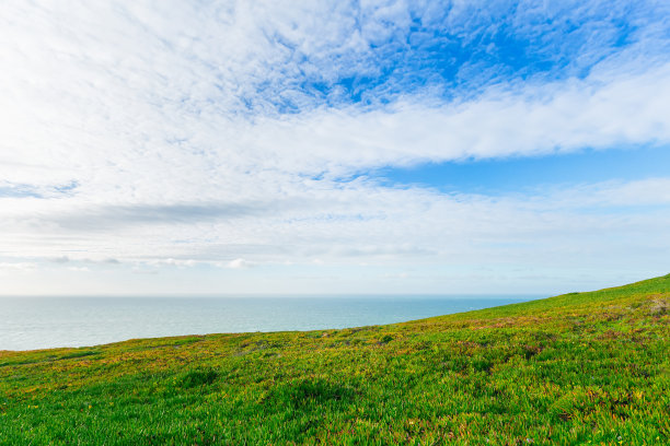 大海与天空相连，在天空之间形成了地平线。海滨长满了绿草图片下载