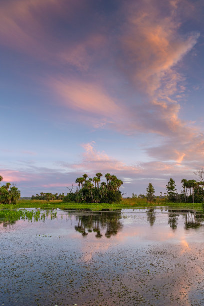 激动人心的奥兰多湿地公园在充满活力的日出在美国佛罗里达州中部图片下载
