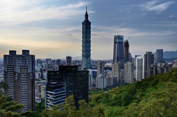 台北101大楼、高楼和森林图片下载