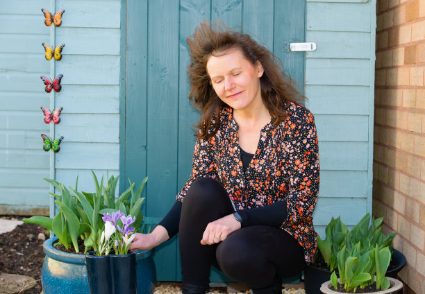 在番红花和郁金香丛中，微风拂过，思绪万千。图片下载