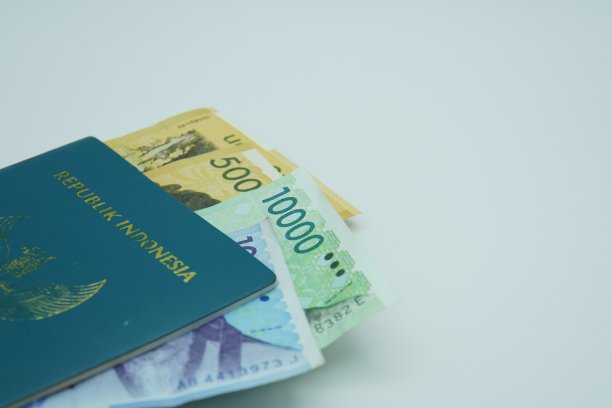 印度尼西亚护照和韩国纸币(元，韩图片下载