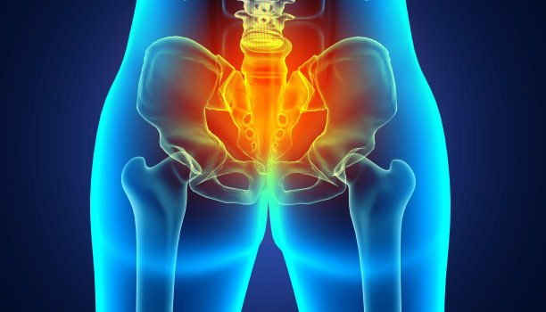 髋骨疼痛，x光透视，医学概念。三维演示图片下载