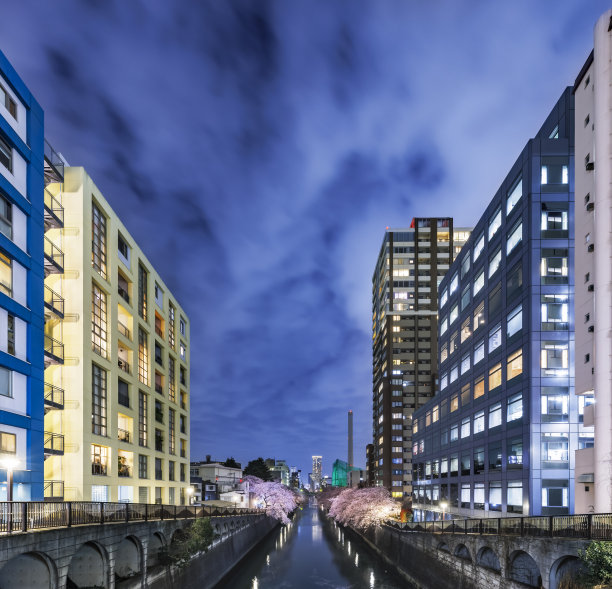 樱花盛开，东京目黑河沿岸的建筑物图片下载