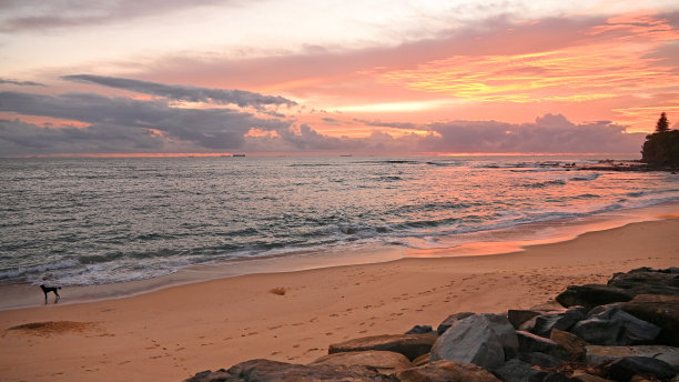 海滩上的日出图片下载